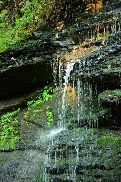 DSC_2824 (Large).JPG